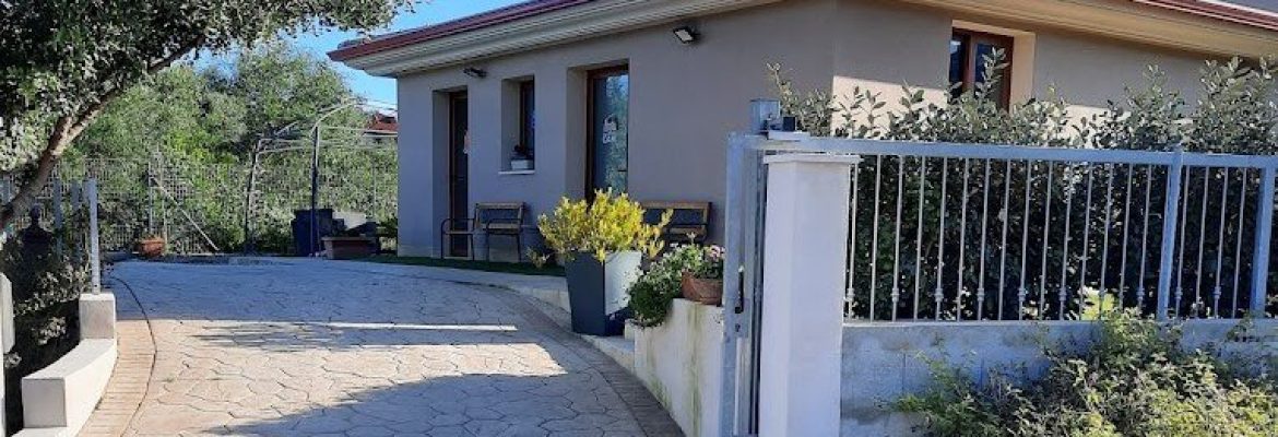 Clinica Veterinaria Animal House